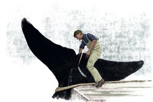Bálnahajó egy bálna farkát vágja alkotó: Alessandro Lonati