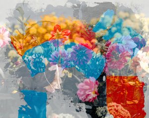 Szivárvány, 2019,(vegyes) alkotó: Alex Caminker