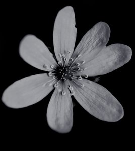 Cím nélkül, 2019, (fotó) alkotó: Alex Caminker
