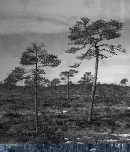 kék földalatti, 2019, (vegyes) alkotó: Alex Caminker