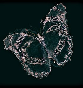 butterfly II, 2020,(vegyes technika) alkotó: Alex Caminker