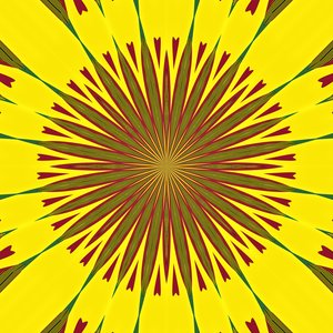 geometria,2019,(digitális) alkotó: Alex Caminker