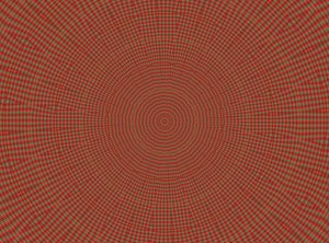 dísz #2,2019,(vegyes technika) alkotó: Alex Caminker