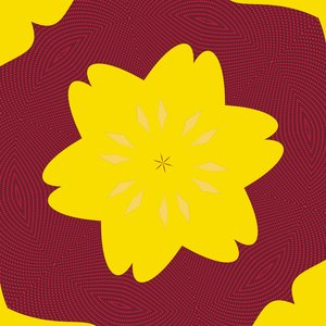 szimmetria #50,2019,(vegyes technika) alkotó: Alex Caminker