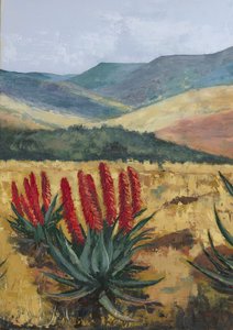 Vörös aloe domboldal