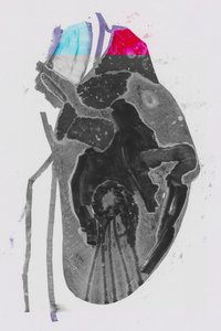 Átlag alkotó: Alexander Adiels