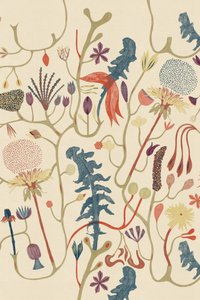 Hatás alkotó: Alexander Adiels