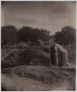 Faragott elefánt a szikla tetején Asoka feliratokkal, Dhauli, Puri District alkotó: Alexander Caddy