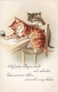 Humoros macskás képeslap (színes litográfia) alkotó: Alexander Francis (after) Lydon