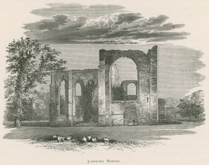 Furness Abbey, Északra néz alkotó: Alexander Francis Lydon