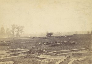 Kilátás az antietami csatatérre, 1862. szeptember, 1862. alkotó: Alexander Gardner