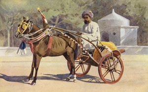 Egy Benares Ekka alkotó: Alexander Henry Hallam Murray