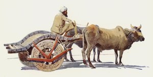 Bullock kocsi, Jodhpur