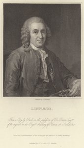Linné alkotó: Alexander Roslin