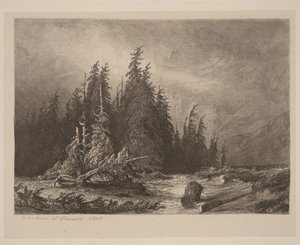 Hegyi fenyők alkotó: Alexandre Calame