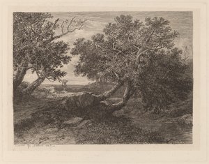 Patak kilógó fákkal alkotó: Alexandre Calame