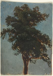 Fatanulmány, 1800-as évek második harmada.