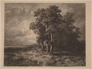 Fák viharban alkotó: Alexandre Calame