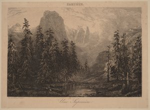 Egy fenyőerdő alkotó: Alexandre Calame