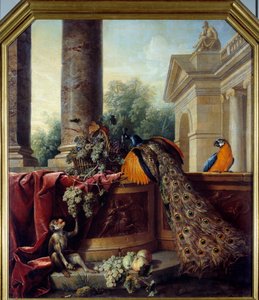 Csendélet pávával Papagáj, majom és szőlőfürtök. Francois Desportes (1661-1743) festménye 18. század V. 2,05x1,8 m Lyon, Musee des Beaux Arts alkotó: Alexandre Francois Desportes