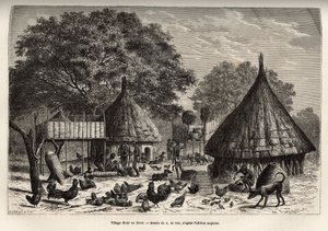 Diour falu télen (Szudán) és a lakosok mindennapi tevékenysége a közösség által nevelt állatok között, metszet A. de Bar rajza után, az 1868-1871-es Afrika szívébe tett utazást illusztrálva, Dr. Georges Schweinfurt rajzolta