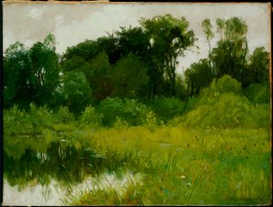 Eső után, a Minnehaha Creeken