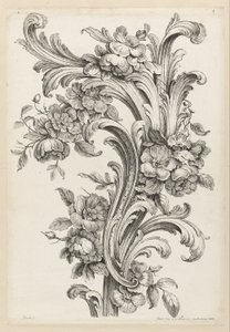Virágos és Acanthus levél dizájn
