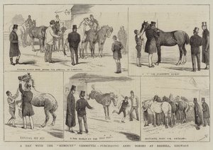 Egy nap a Remount Bizottsággal, a hadsereg lovainak megvásárlása Redhillben, Edgware-ben alkotó: Alfred Chantrey Corbould