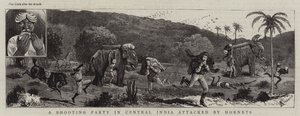 Egy lövészpárt Közép-Indiában megtámadtak a darazsak alkotó: Alfred Chantrey Corbould