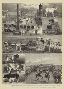 Dél-afrikai mezőgazdasági bemutató, Port Elizabeth, Cape Colony
