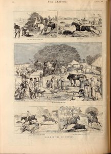 Disznóvadászat Bengáliában alkotó: Alfred Chantrey Corbould