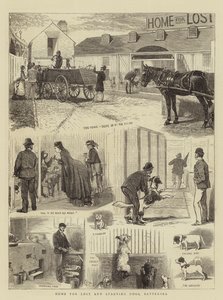 Elveszett és éhező kutyák otthona, Battersea alkotó: Alfred Chantrey Corbould