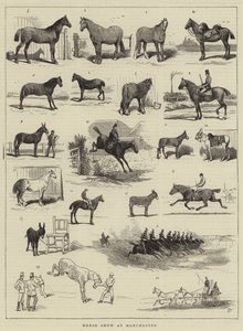 Lókiállítás Manchesterben alkotó: Alfred Chantrey Corbould