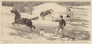 Vázlatok British Columbiából, a fiatal lovak törésétől a szánkózásig alkotó: Alfred Chantrey Corbould