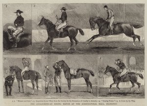 Az angol-mexikói lovaglás az islingtoni mezőgazdasági csarnokban alkotó: Alfred Chantrey Corbould