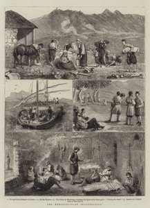 A hercegovinai felkelés
