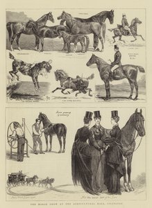 A lovasbemutató az Islington-i Agricultural Hallban