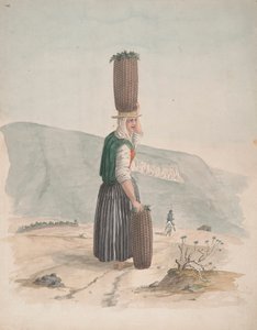 Faszén eladó, Tenerife
