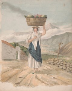 Port Orotava nősténye alkotó: Alfred Diston