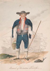 A tenerifei miraderói paraszt