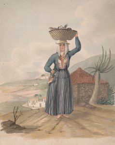 Victoria nő, Tenerife