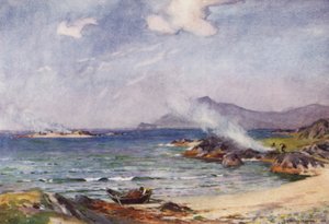 Kelp Burning, Renvyle alkotó: Alfred Heaton Cooper