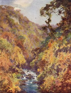 The Dargle, Wicklow megye alkotó: Alfred Heaton Cooper
