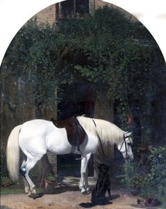 fehér ló és retriever alkotó: Alfred Hichens Corbould