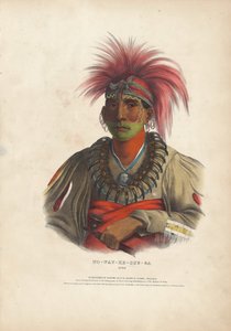 Nincs y összeg – g eset – az Otoe alkotó: Alfred Hoffy, after Charles Bird King