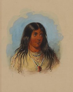  alkotó: Alfred Jacob Miller