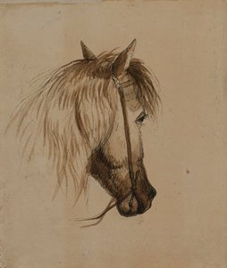 Lófej alkotó: Alfred Jacob Miller