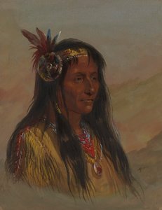  alkotó: Alfred Jacob Miller