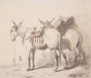 Öszvér felszerelés, 1837 körül (ceruza és mosás papíron) alkotó: Alfred Jacob Miller