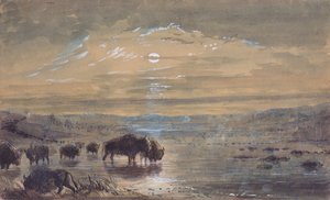 Éjszakai jelenet, Buffaloes on the Prairie, 1837 körül (akvarell, papír) alkotó: Alfred Jacob Miller